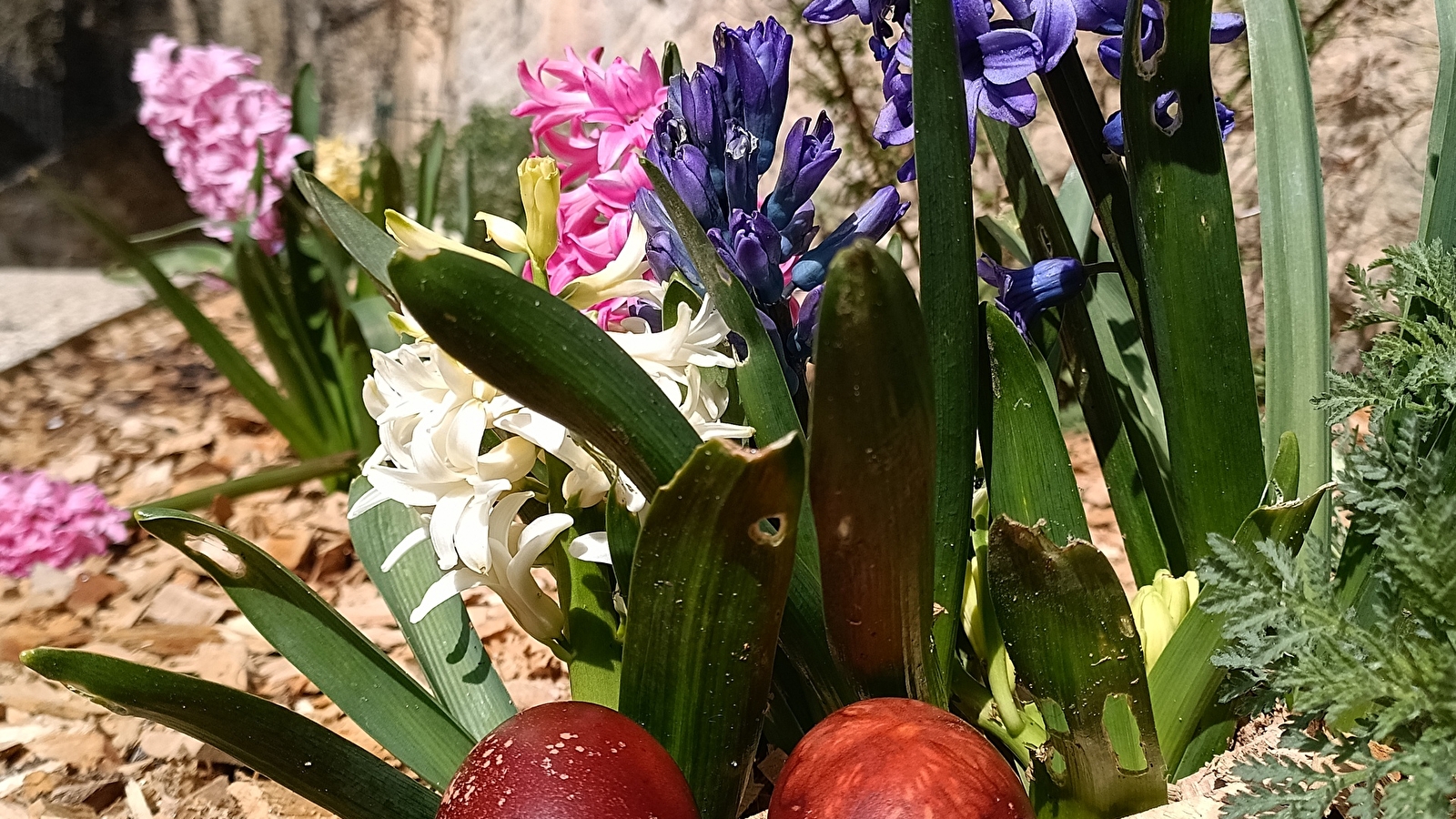 Décors de Printemps au château de Châteauneuf