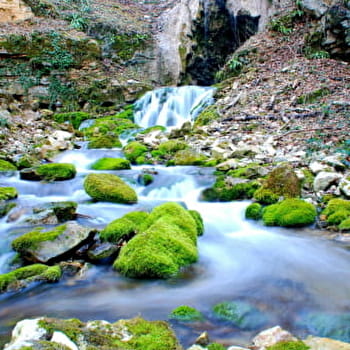 Source du Bel Affreux - ANTHEUIL