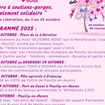 Octobre rose- Pouilly en Auxois - POUILLY-EN-AUXOIS
