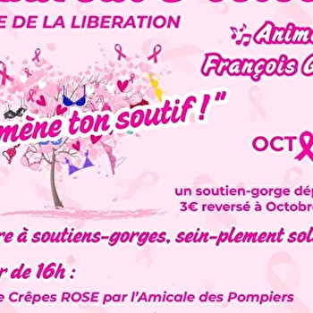 Octobre rose-Pouilly en Auxois - POUILLY-EN-AUXOIS