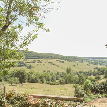La Ferme d'Andrée - CHAUDENAY-LE-CHATEAU