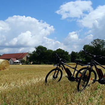 Gîte Jardin des sens - EGUILLY