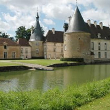 Château de Commarin - COMMARIN